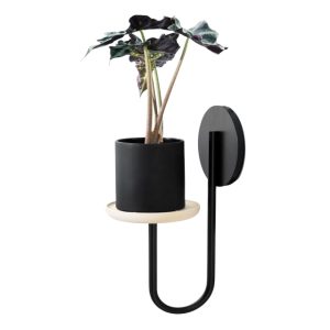 Chậu cây mini gắn tường DC001